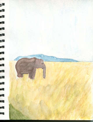 elephant watercolor sketch